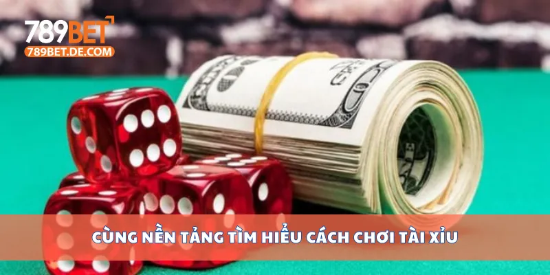 Cùng nền tảng tìm hiểu cách chơi tài xỉu