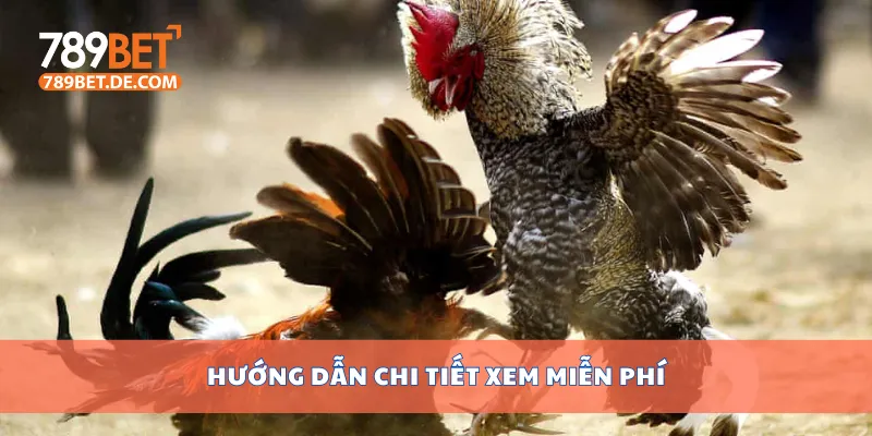 Hướng dẫn chi tiết xem miễn phí